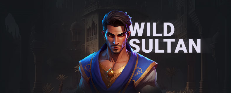 Bannière Wild Sultan casino