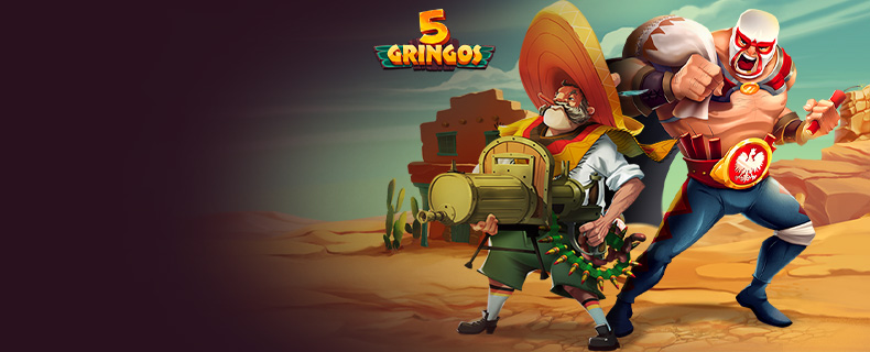 5Gringos bannière